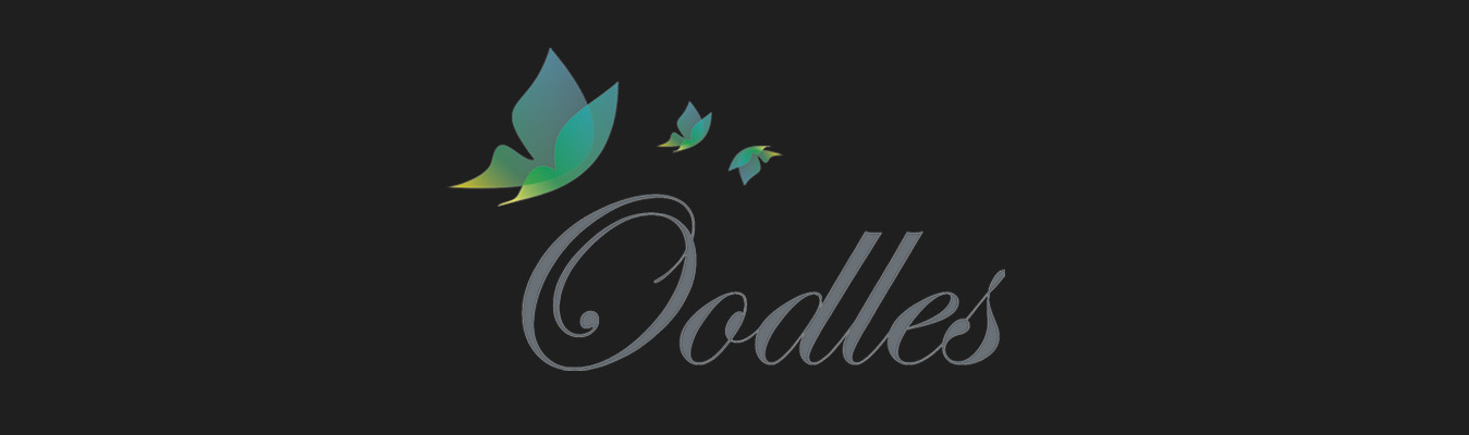 OODLES HOTEL